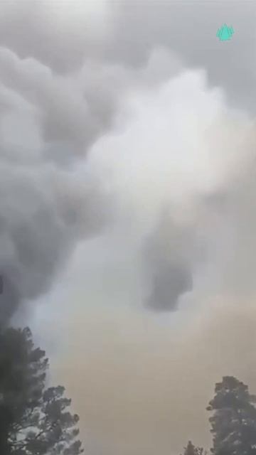 Так прямо сейчас горят леса в Якутии смотреть онлайн