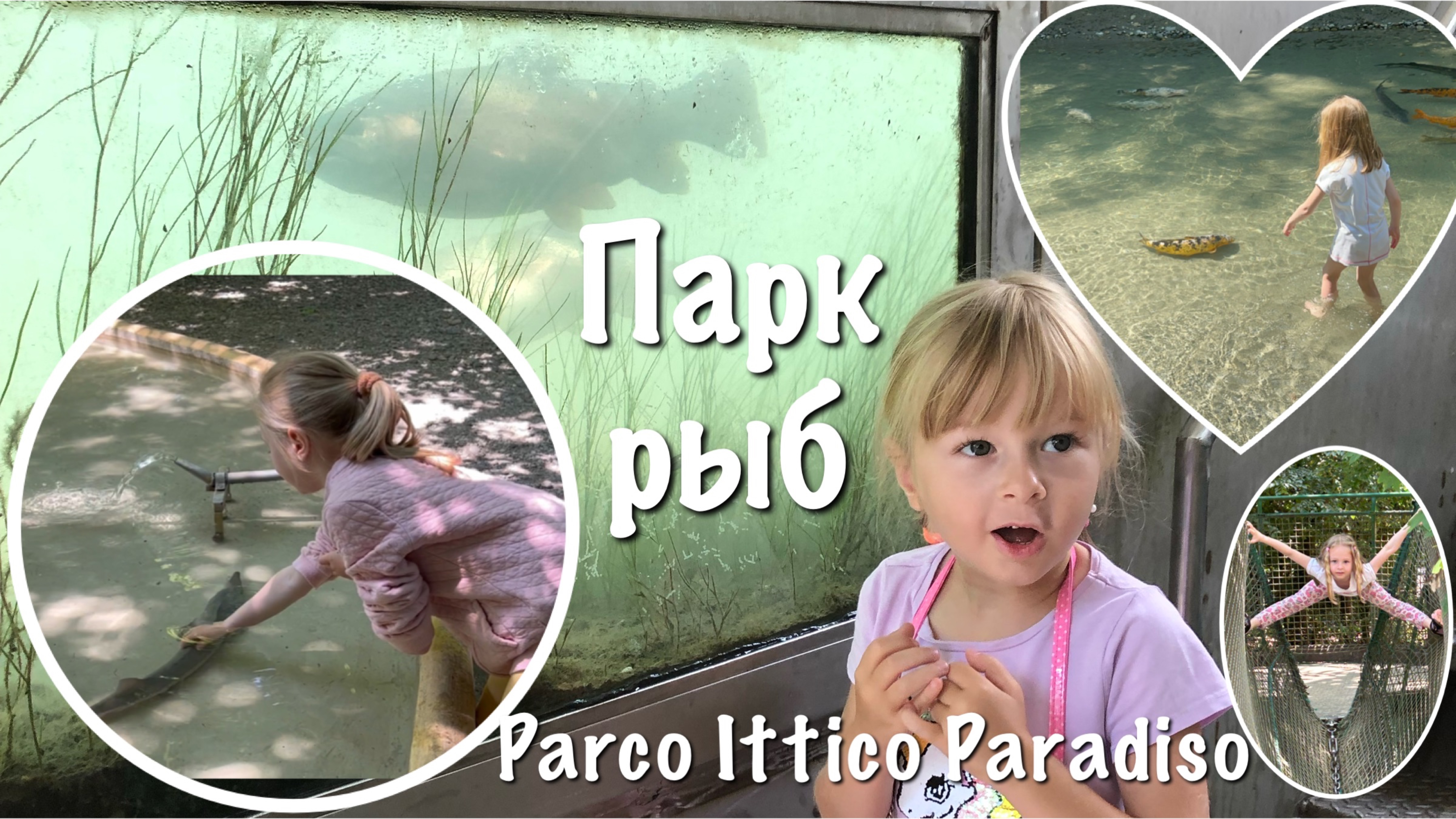 Необычное путешествие Ани в Parco Ittico Paradiso смотреть онлайн