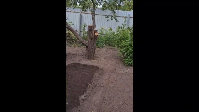 Наш первый сезон на даче🤩2023 год. Разборка хлама, борь?