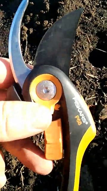 Секатор Fiskars P68. Начальный уровень для первых обрезок в