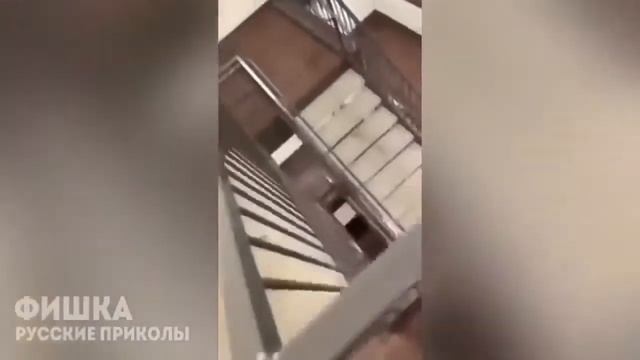 До седых волос дожил , а ума не нажил