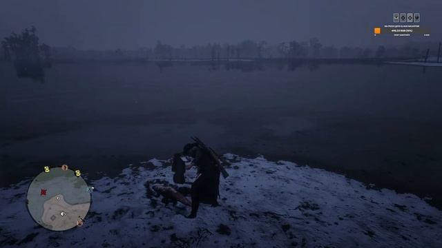 RDR2 Online! LIVE) 2024 ищем Лавандесик!