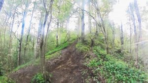 мой тест Bse z8