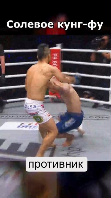 Заводной БОРЕЦ 10 болевых В МИНУТУ #shorts #mma #ufc #спорт