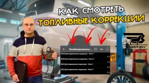 ТОПЛИВНЫЕ КОРРЕКЦИИ. Как их СМОТРЕТЬ и ЗАЧЕМ