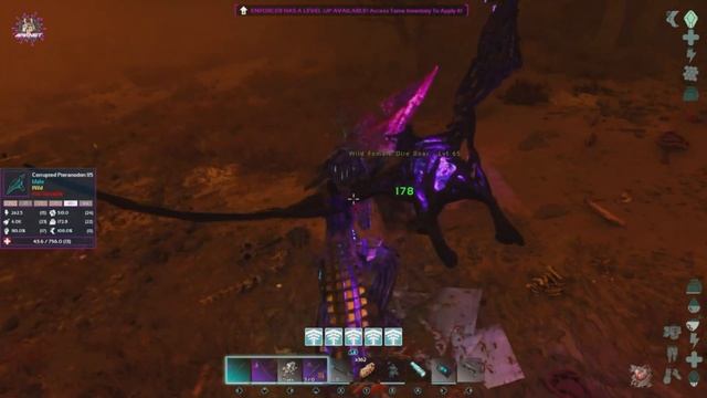 Как создать ТОП энфорсера - ARK Survival Ascended #asa #arksurvivalevolved #e смотреть онлайн