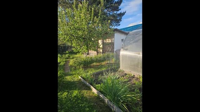 территория СОСН Степное имени Е.Ш. Левина, 11-я аллея смотреть онлайн