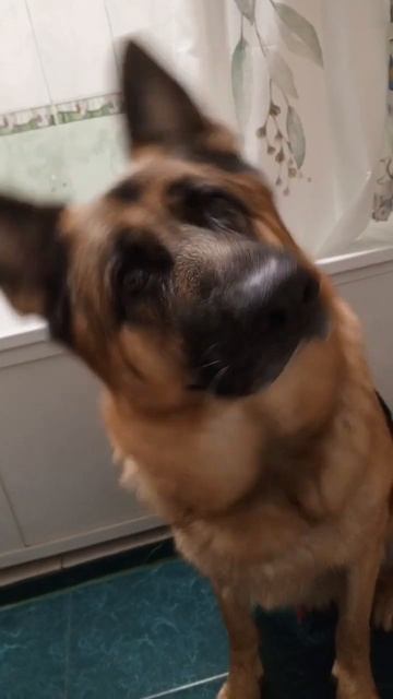 8 сентября 2024 г. смотреть онлайн