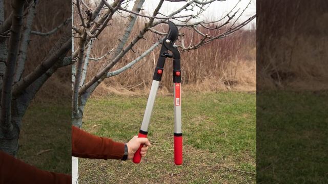 Гілкоріз телескопічний Vitals Master LS-910-01T смотреть онлайн