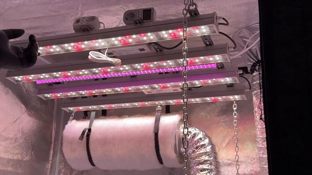 Гроубокс под Ключ!!!GROWBOX!!!Правильное выращивание!!!CBD!!!TH смотреть онлайн