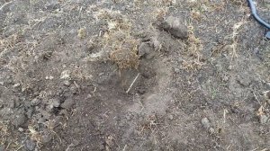 НАСТРОЙКИ ТХ 850 И НЕМНОГО МЕТАЛЛА+ЦВЕТМЕТ!!! МЕТАЛЛОКОП