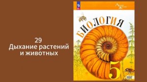 Биология, 5-6 класс, Пасечник, дыхание растений и животн
