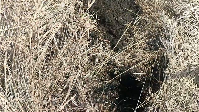 коп чермета 2024 первый выход и последний)))