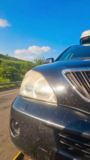 Лексус люблю тебя :)