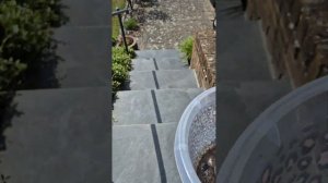 Гашение золы уксусом. Дача как хобби.