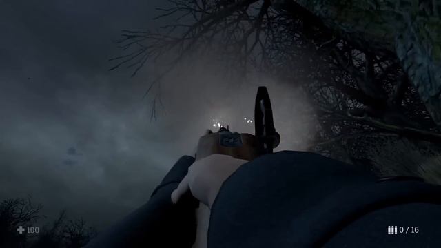 ШУСС ПУГАЕТСЯ В WITCH HUNT