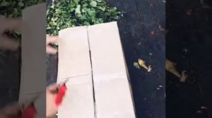 УПАКОВКА ВЕНИКОВ ДЛЯ БАНИ