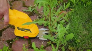 Обзор аккумуляторных ножниц-кусторезов Denzel G801E (96815) и G