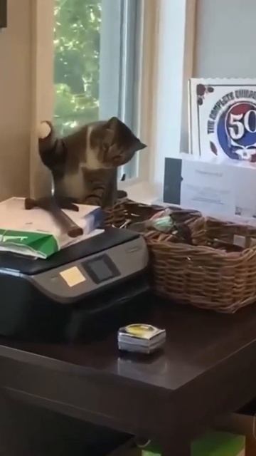 Неравный бой с молотком 🤣