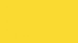 Информатор БКЛ (до Делового Центра). Озвучивают персон