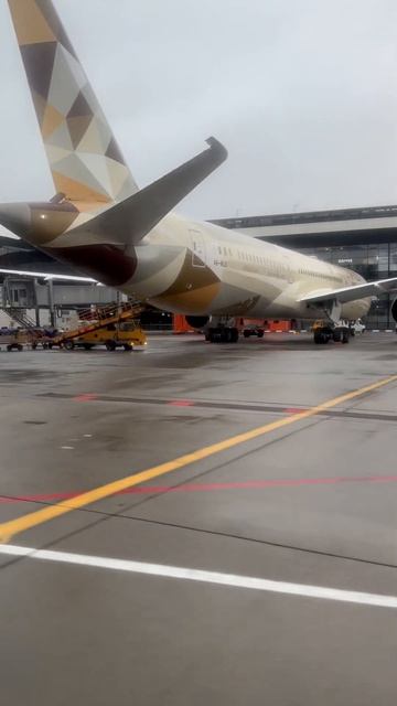 Дрим лайнер готовится к посадке пассажиров. Из #шереме смотреть онлайн