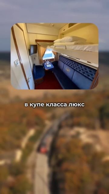 125 000 рублей за билет на поезд в России! #путешествия #trav смотреть онлайн