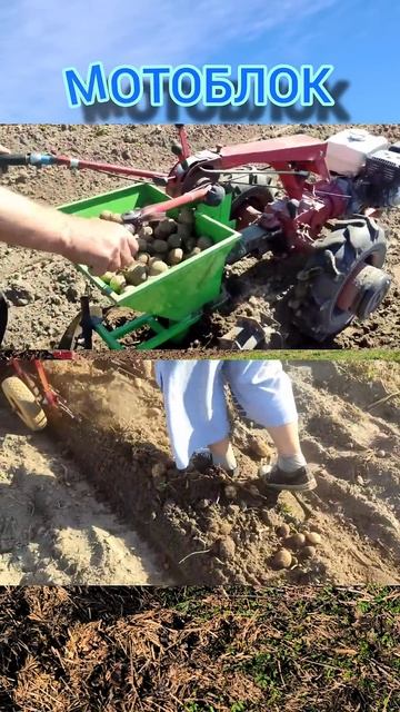 Это хороший мотоблок смотреть онлайн