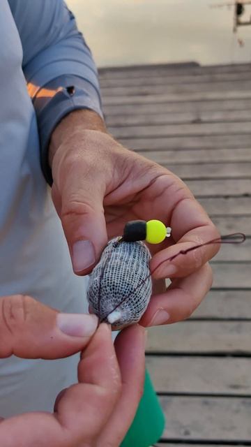 Как быстро надеть стик на поводок 🎣 #рыбалка#рыбачусу смотреть онлайн