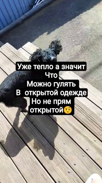 в некоторых городах до сих пор есть ассистент не очень смотреть онлайн