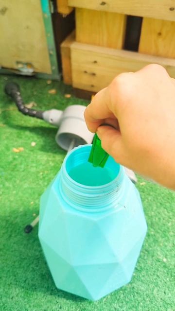 Огуречные листья желтеют и чернеют #жизньвдоме #огоро? смотреть онлайн