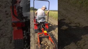 Мтз 132н копка картофеля 2023