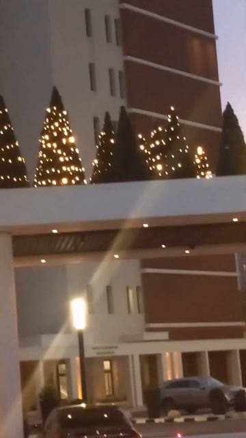 Кипр, Лимасол, новогодние ёлки, новогодняя ёлка, вечер, смотреть онлайн