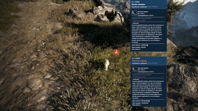 Black Desert online. Анонс обновления 2 октября !The announcement of the upda смотреть онлайн