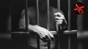 ✵ Я парнишка седой, я совсем молодой мне 17  ✵