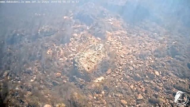 Raķupes Zemūdens Kamera (Подводная камера в Ракупе) 6.06.19 12:35