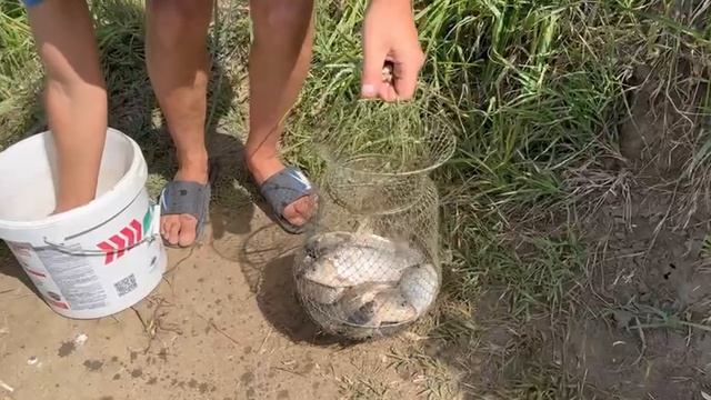 Вот это-РЫБАЛКА!!! Выловили всего карася. смотреть онлайн