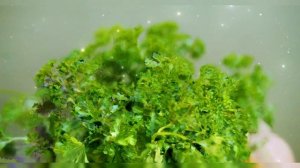 ЛУЧШИЕ И ХУДШИЕ СОРТА ПЕТРУШКИ 🌱 Сорт и Фото