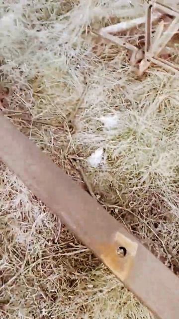 Сцепка бороновальная 12метров, 24 бороны смотреть онлайн