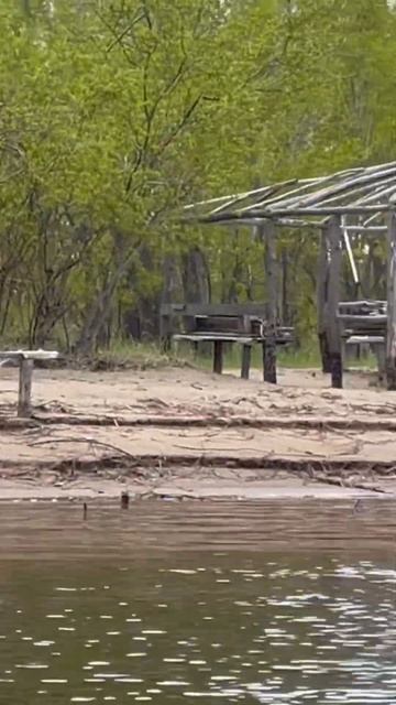 Хижины на острове #camping #fishing #выживание #amazing #bushkraft #surviva смотреть онлайн