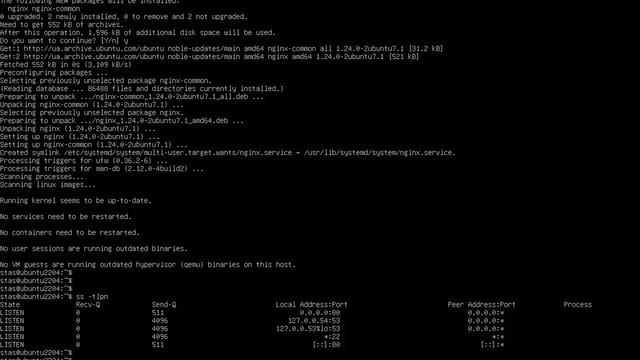 Установка web-сервера Nginx на Linux Ubuntu 24.04 (Installation Nginx on Linux Ub смотреть онлайн
