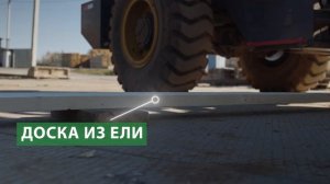 Какая доска лучше: ель или сосна?