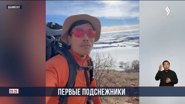 Подснежники на юге | Jibek Joly news смотреть онлайн