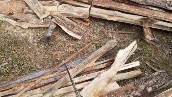 Обзор китайской бензопилы ,,MANCRAFT,,