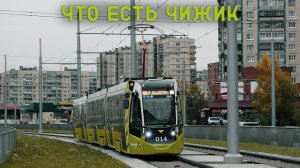 ЧТО ЕСТЬ ЧИЖИК