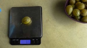ГОЛДЛИНГ. Один из самых сладких сортов крыжовника.  Но?