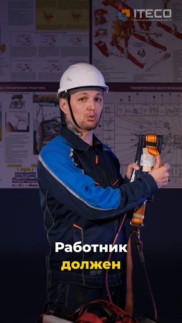 Запрещенные маркировки на привязи