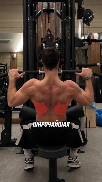 Идеально для широкой спины 🤝#спина #тягаверхнегоблок смотреть онлайн