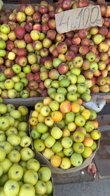 Карасуу базары /картошка 65 сом смотреть онлайн