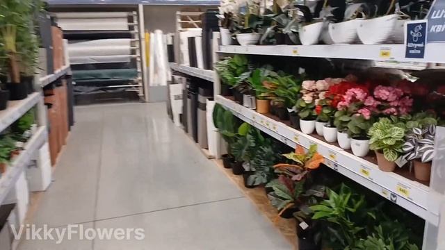 КОШМАР! Обзор цветочного магазина💚🪴 Ужасное состоя?