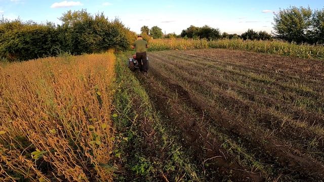 Мотоблок Мотор Січ з мульчером. Motoblock Motor Sich With Mulcher.